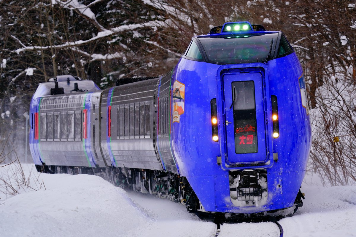 Olaf06049974's tweet photo. 2025.2.19 特急大雪でラベンダー編成が代走となる最後の設定日　日帰り弾丸にて出撃した。晴れるとHMが判りづらくなるので、曇りが確定な旭川周辺で。283系、261系ともに記録ができ、HMもきれいに描出できた。でもやはりHMが浮かび上がる様子もと思いさらに移動、最初の1枚となった。＃特急大雪 https://t.co/oCD1MmNHLh