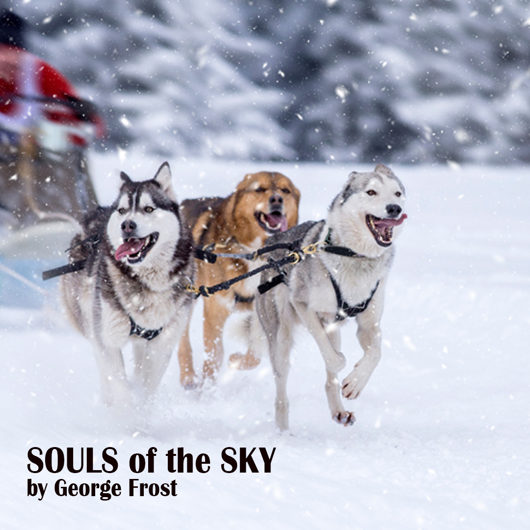#justreleased Souls of the Sky by George Frost, a #comingofage #shortstory set in the snow-laced fields of the Yukon River, Alaska-racing the Iditarod #ListenNow at podcasts.apple.com/us/podcast/sou… 

#podcast #audioadventures #DogLovers #writingcommunity #IditarodRace