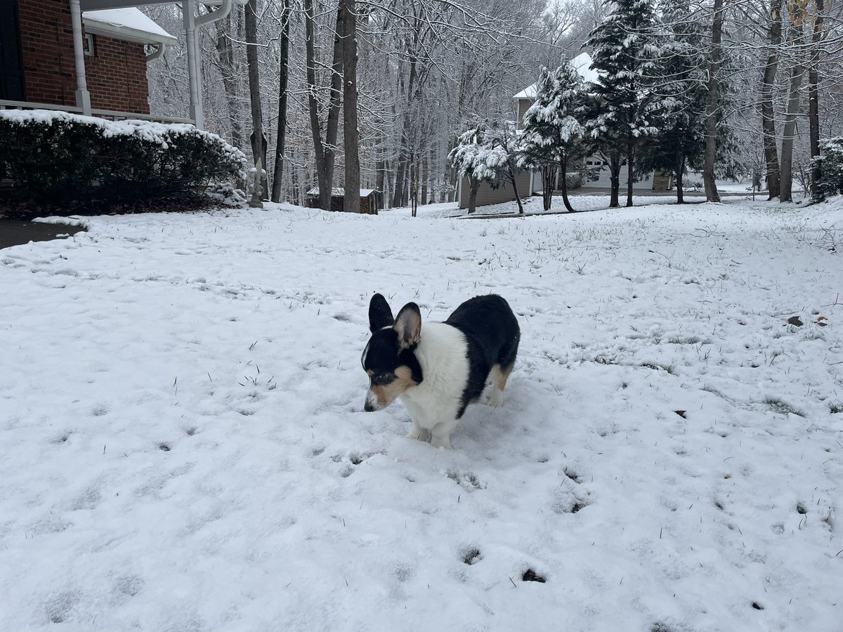 Michelle Barker tweet media