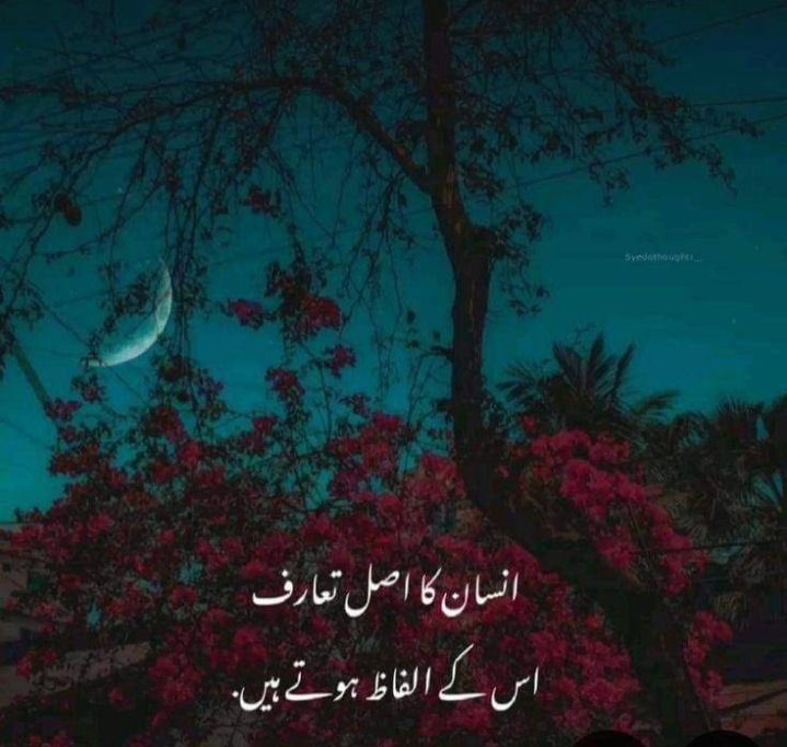 Good morning dear happy 
Friday day 🌹