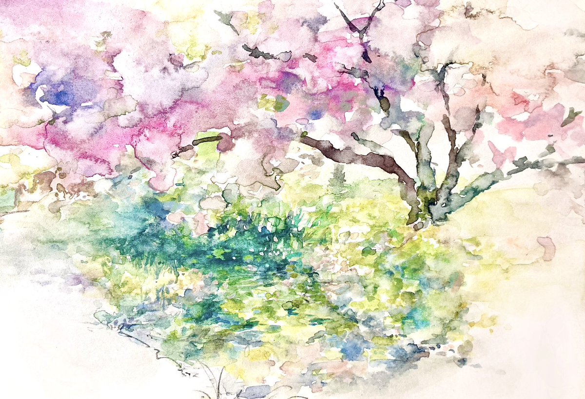 mi_nminmi_'s tweet photo. #早く暖かくなって欲しい人は黙って春の画像をあげて https://t.co/1dTAIueomd