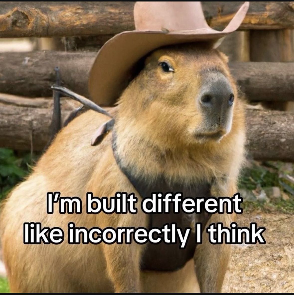 ADHD Memes (@adhdforreal) on Twitter photo 