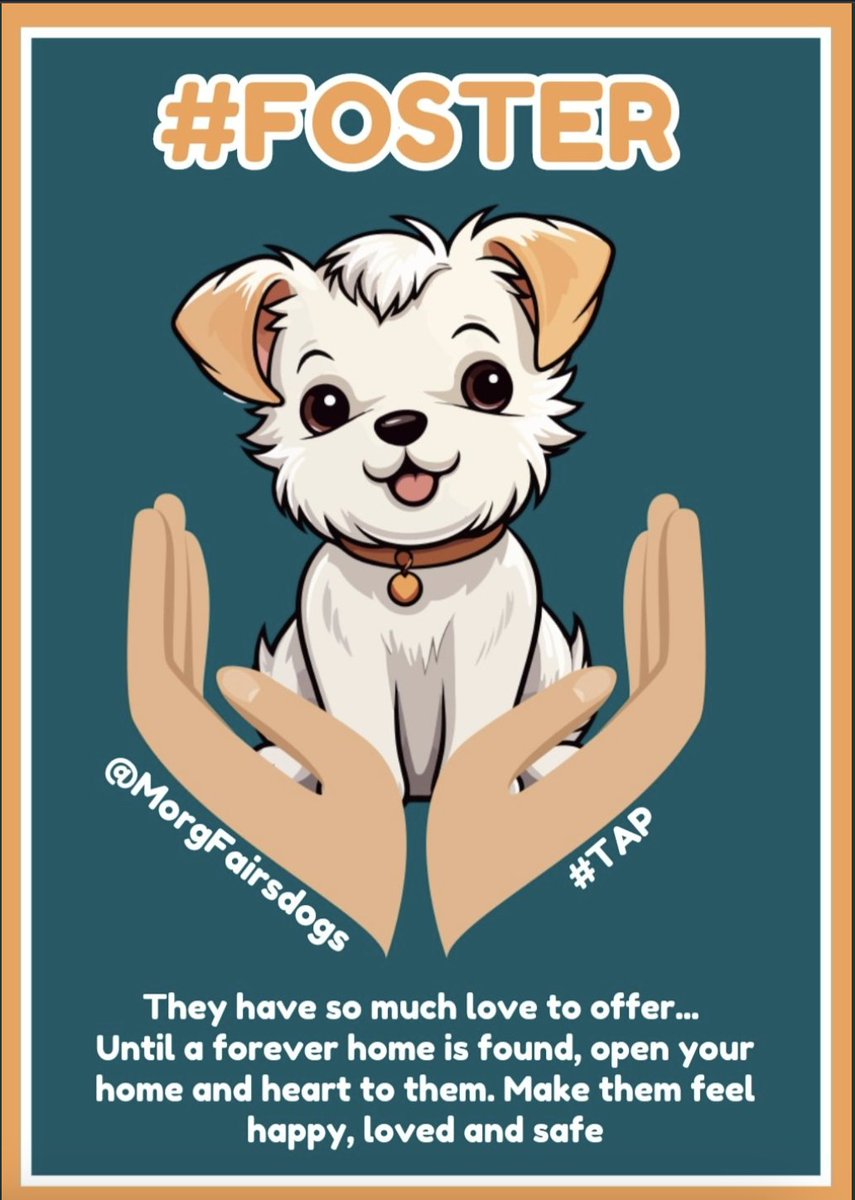 Elisabeth Spenser, Pagan. I block fake Christians (@easpenser) on Twitter photo 