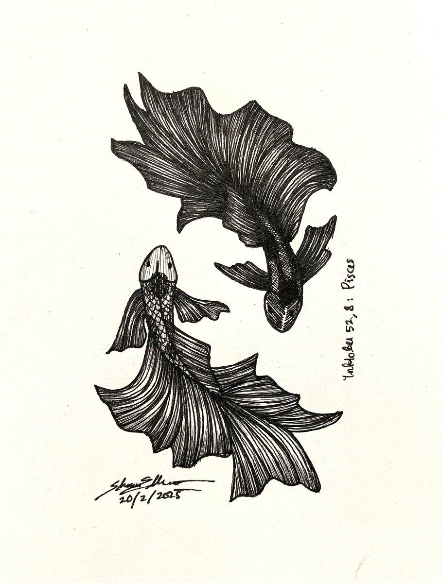 shawnellian's tweet image. Inktober 52, 8: Pisces ♓ 

#inktober #inktober52 #inktober52pisces #penandink #inkartwork #penartwork #hatchingart #sketching #pisces #yinyang #art #drawing