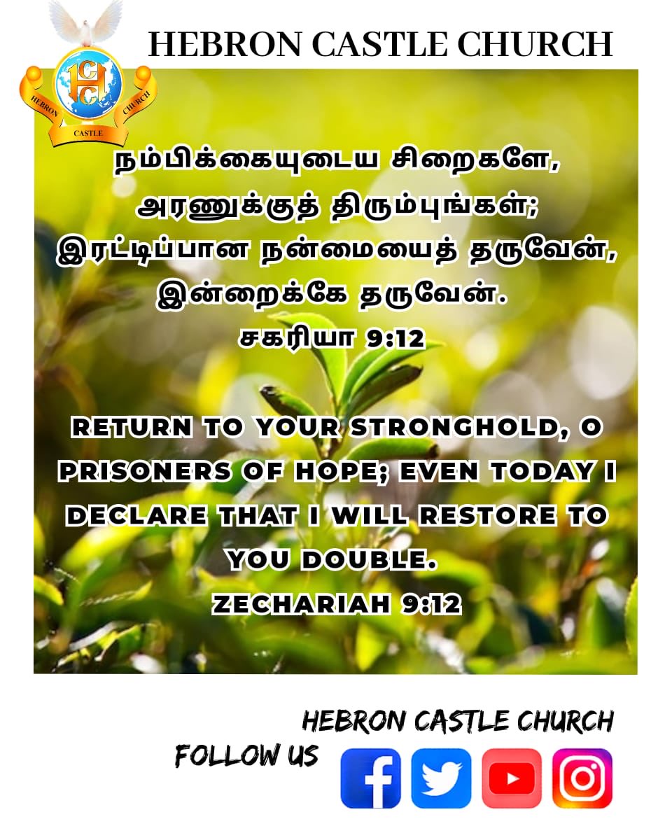 HebronCastle's tweet photo. Today's Promise Word !
.
.
.
.
.
#hebroncastlechurch #promiseofgod #promiseday #verse #verseoftheday #todaysverse #bible #bibleverses #instagram #trending #viral #wordoftheday #wordoftheday📖 #trust #trustandbelieve #trustand #godsplan #christian #christianliving #christianlife https://t.co/aeTQY7IcQw