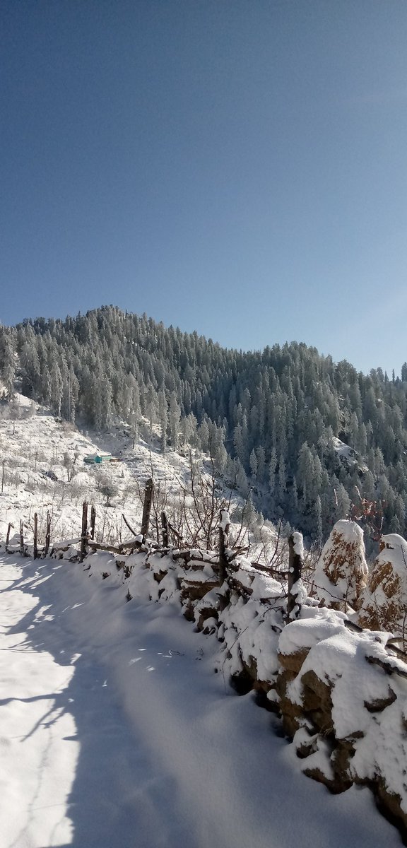 Rajinde15863622's tweet photo. Nearly about 5-6 inches of snowfall has been recorded in upper reaches of tutupani. khadrala
#Snowfall #Vailoo #Khadrala #WinterWonderland #Narkanda #SnowyPeaks #NatureBeauty #TravelDiaries #Himalayas #ScenicViews https://t.co/Ztuqt8TgmU