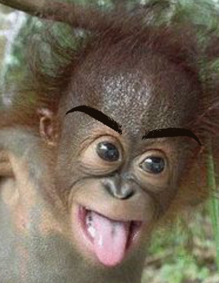 azz_orange's tweet image. u got huge bottchix mr sebaztian!!!