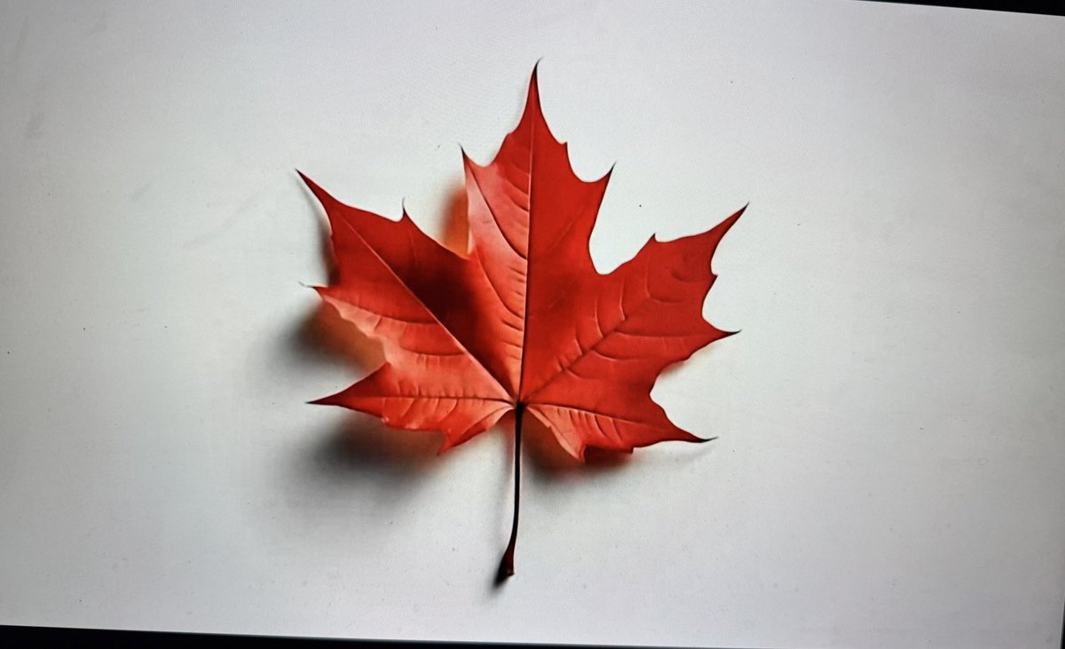 When it really mattered, Canada prevailed.

What a moment for Connor McDavid.

What a proud moment for our country.