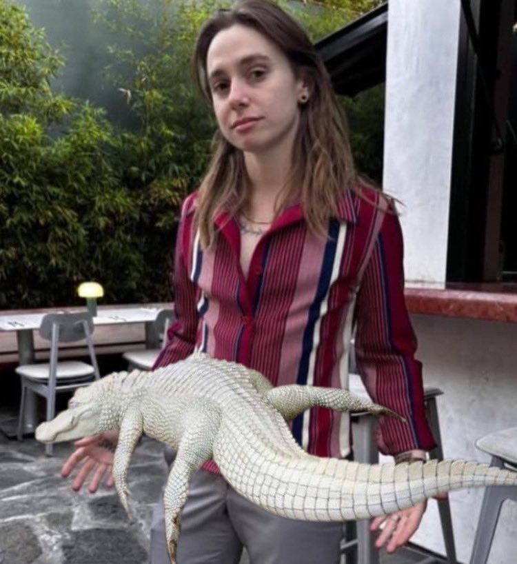 i mean fuck i like girls i like beans i like lucy dacus i like tattoos i like to sing