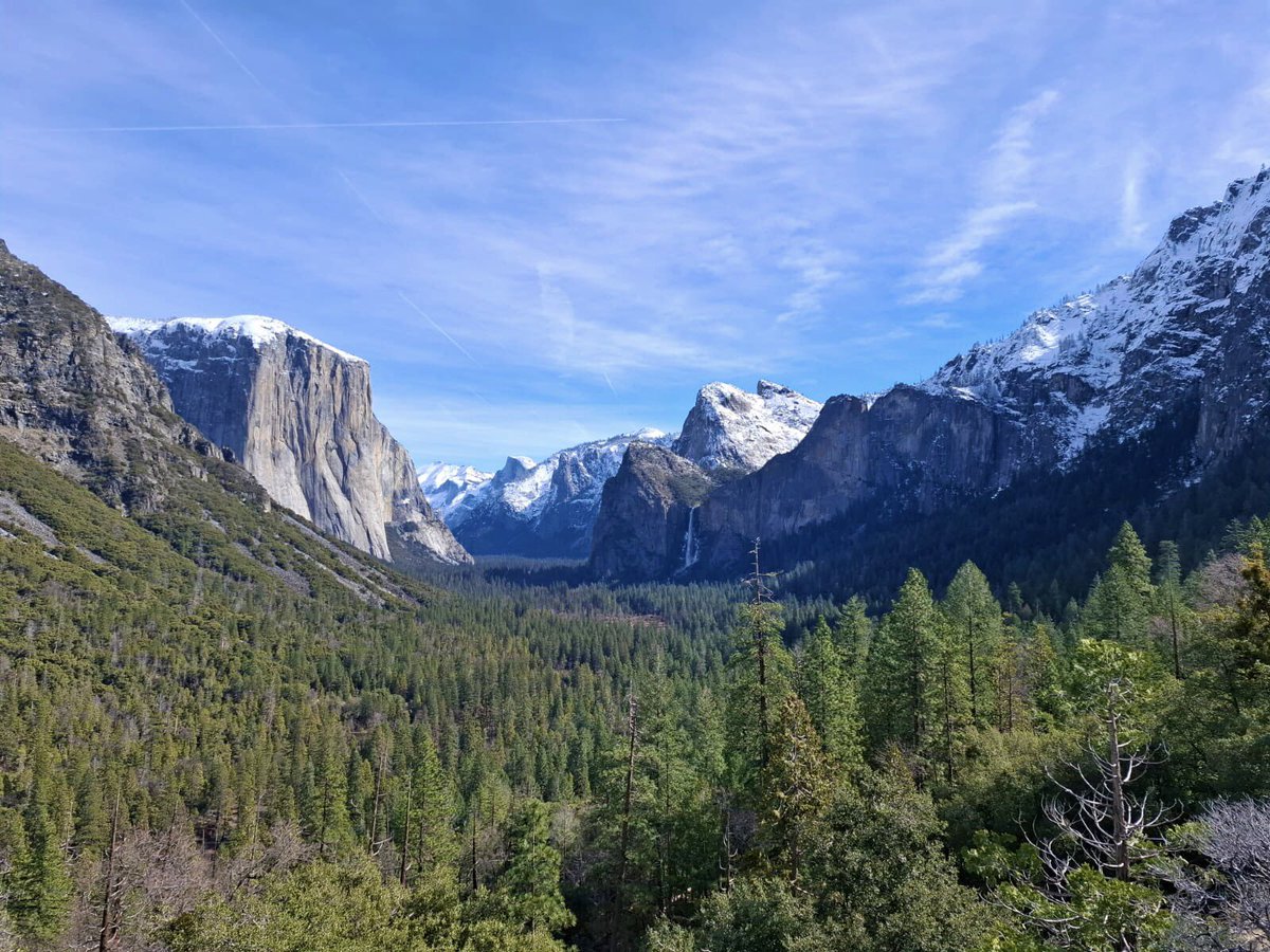 Sergio R. Floeter tweet media