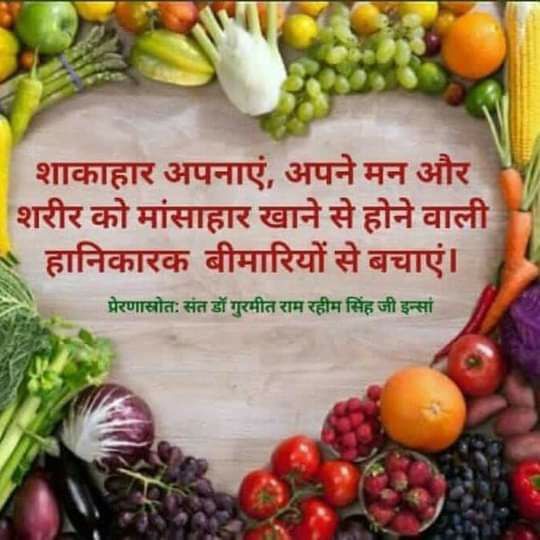 Nitindh777's tweet photo. हमारे पूर्वज मुख्य रूप में शाकाहारी थे #SaintDrMSG ने लाखों करोड़ों लोगों को प्रेरित किया जो उनके लंबे जीवन काल में योगदान देता है! #DivineCharacter #BeVegetarian
#BeHealthyWithVegetarianism
#BenefitsOfVegetarianism
#VegIsHealthy #PowerOfVeg 
#HealthIsWealth #DeraSachaSauda https://t.co/EBVlvJc4OJ