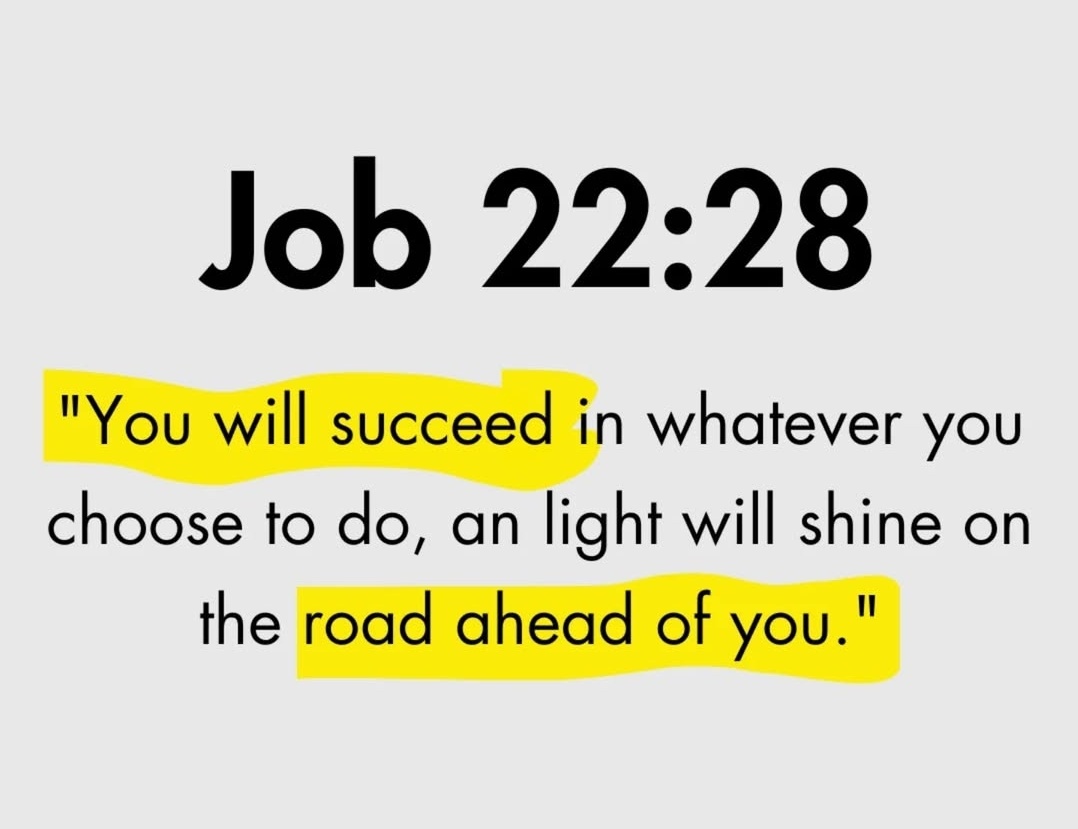 Job 22:28