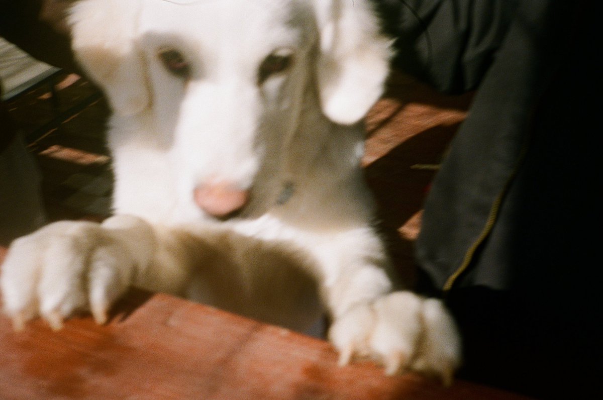 o (@idiosyncrath) on Twitter photo 