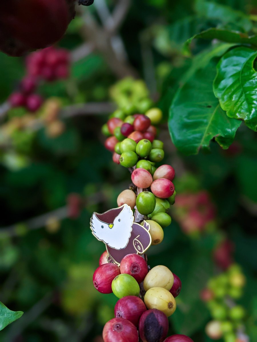 Baby Bestiary tweet media