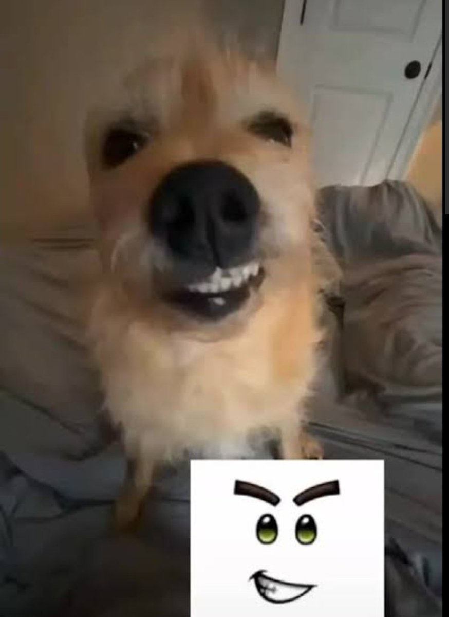 Espero algún día alguien me patrocine 💀 #patrocinio