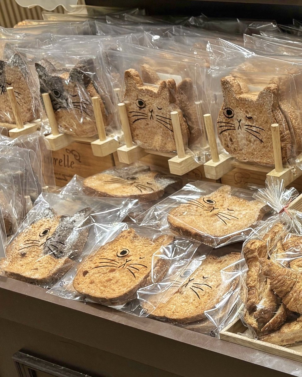 ねこねこファクトリー【公式】 (@neko_factory) / X