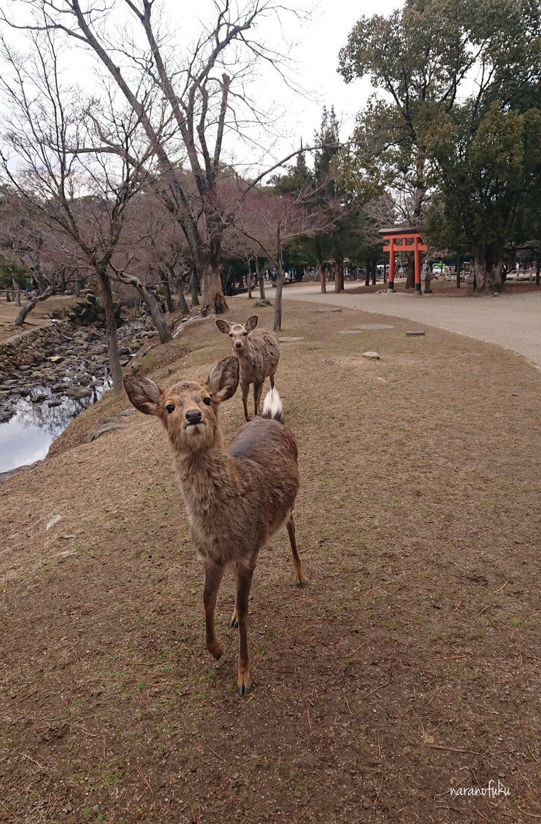 こんにちは～。今日も寒いね