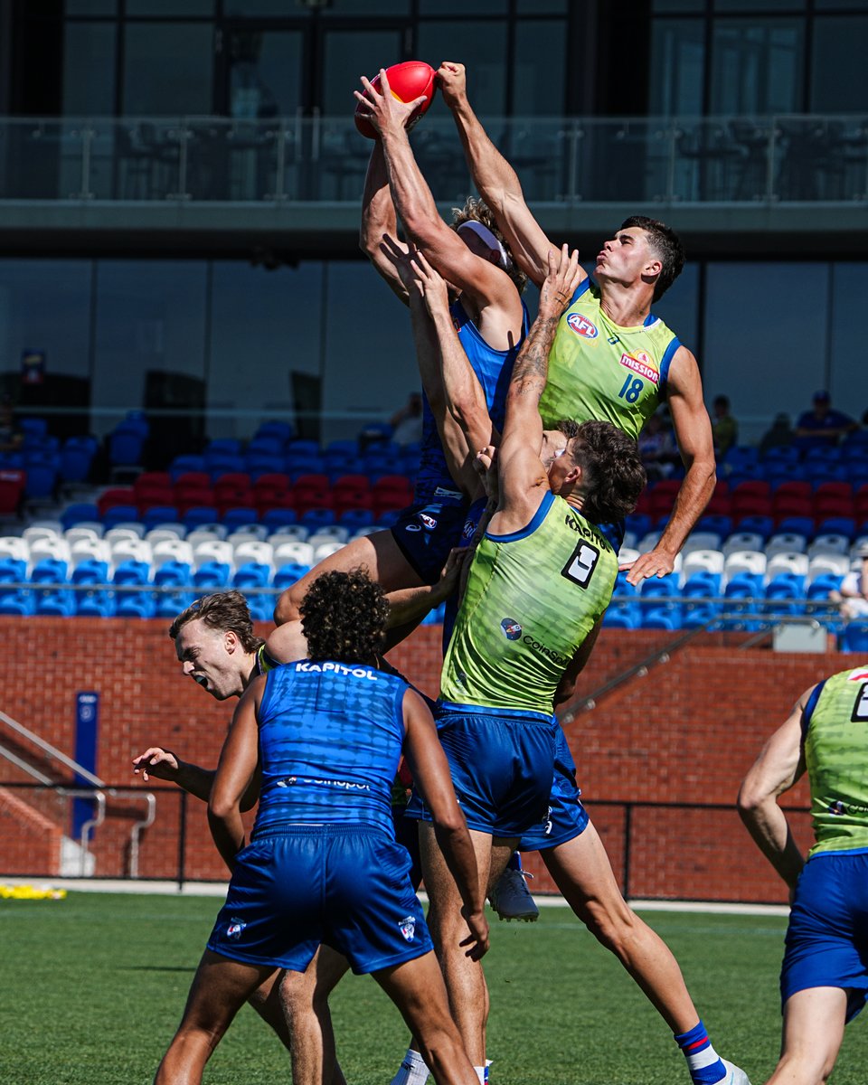 Western Bulldogs tweet media