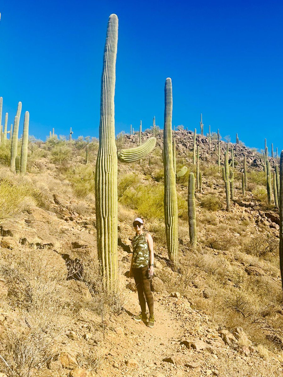 Dr. Ashlesha Satish Udare MD (@ashleshaudare) on Twitter photo Instaworthy venue: Sonoran desert 🐍 🕷️ wildlife 🌵 <a href="/SocietyAbdRad/">Society of Abdominal Radiology | SAR</a> #SAR25 🌵 #tuscon Instaworthy venue: Sonoran desert 🐍 🕷️ wildlife 🌵 <a href="/SocietyAbdRad/">Society of Abdominal Radiology | SAR</a> #SAR25 🌵 #tuscon