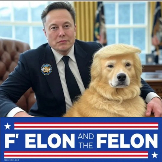 Groundation tweet media