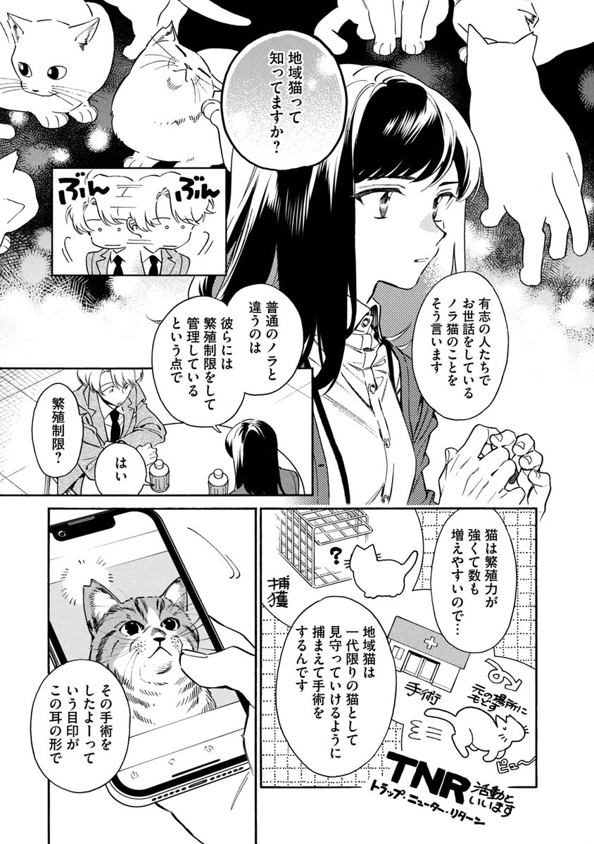 (8/14) 