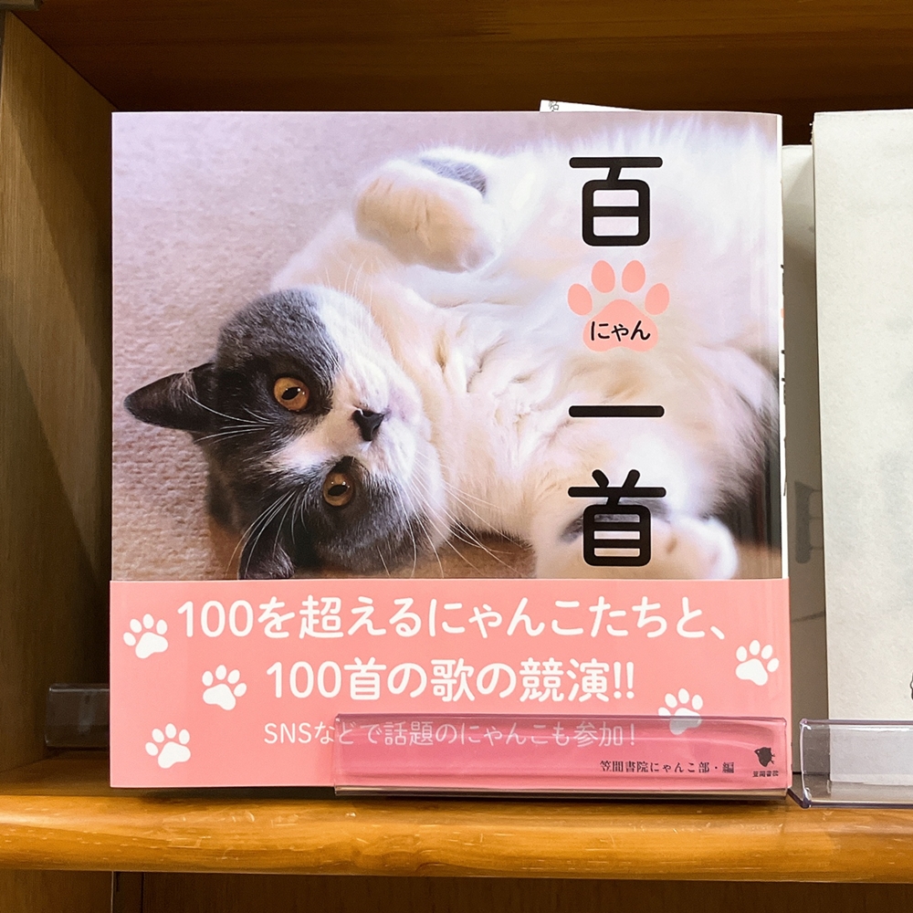 2025年2月22日は 猫の日 なので「ねこの本」を紹介します6 『百にゃん