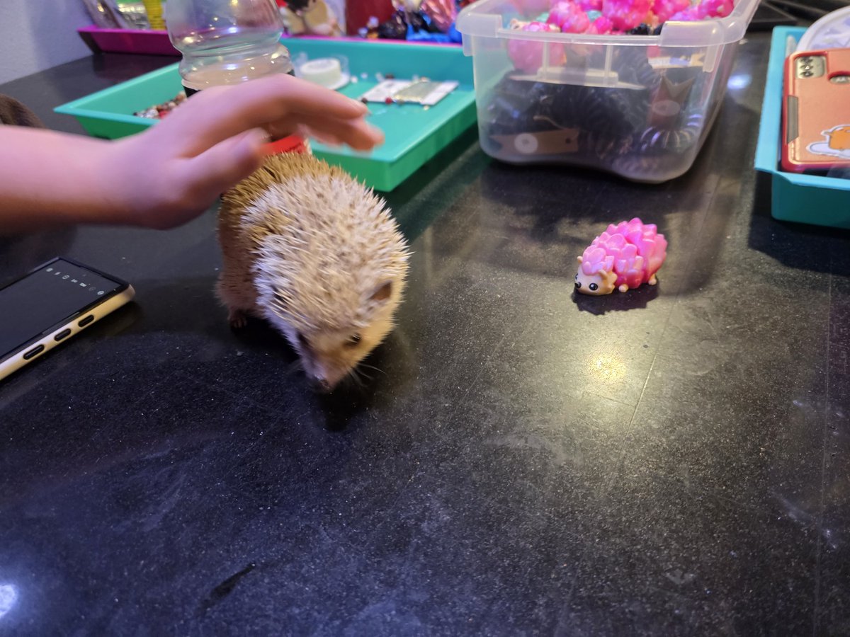 makeitmodit3d's tweet image. I forgot to add X back to my new phone! We've been busy, many new things on the website. Including some flexi hedgies (shown in pink) that our Thistle does not approve of!