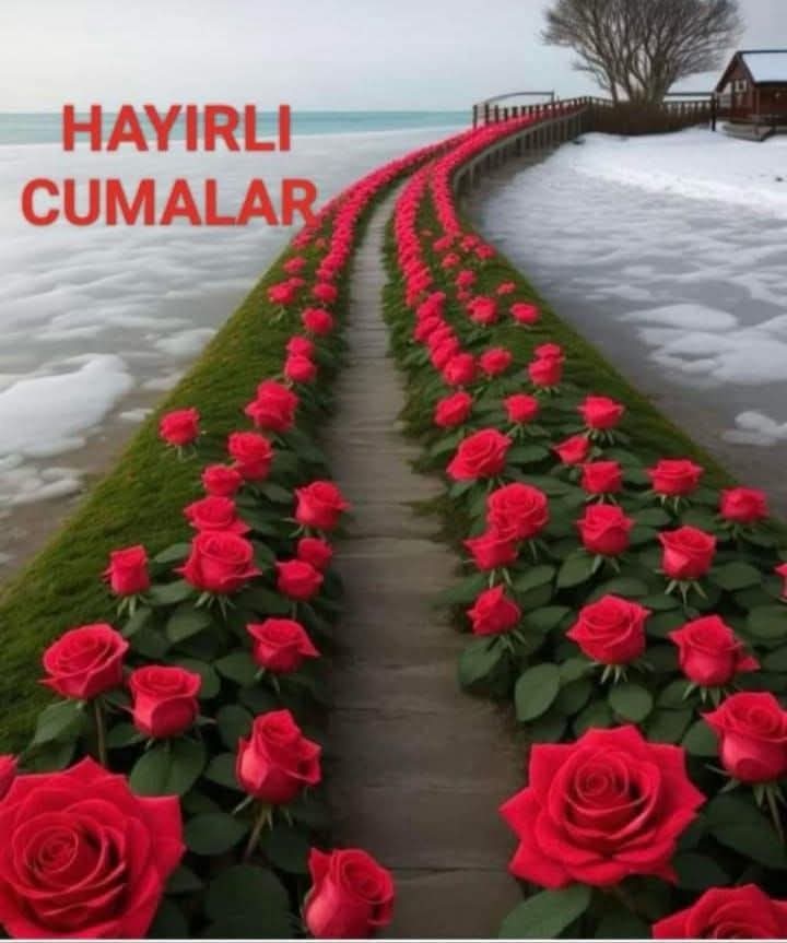 Ekrem_yurt43's tweet image. Huzurunuz ve Umudunuz daim olsun.Allahın Rahmeti bereketi üzerinize olsun.Hayırlı Cumalar Türkiyem 🇹🇷 @ETTDER1999 

#karyağışı #gsvsaz Günay 
#Anayasanın10uncuMaddesi