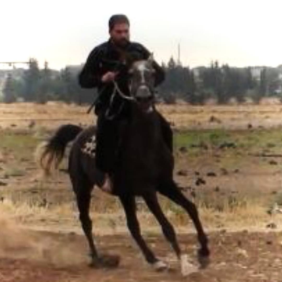 HuntFromHauran's tweet photo. 🌟 مرحباً بكم في حسابي! 🌟

قبل أن تتابعني، يجب أن تعرف أن هذا الحساب مخصص لعشاق الصيد والخيل وكلاب الصيد وكل ما يخص الصيد فقط.

ينشر هذا الحساب كل ما يخص الصيد فقط، من نصائح، مغامرات، وتجارب رائعة. 🏹

شكراً لتفهمكم ودعمكم!
#صياد_من_حوران #صيد 
#HunterFromHauran #Hunting https://t.co/Bb8GeHl1y7