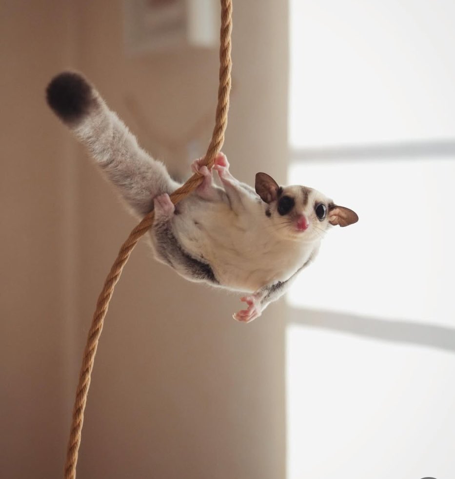 ちゃむページ ちゃむ (@N8l7OTwweOmpuUA) / Posts / X