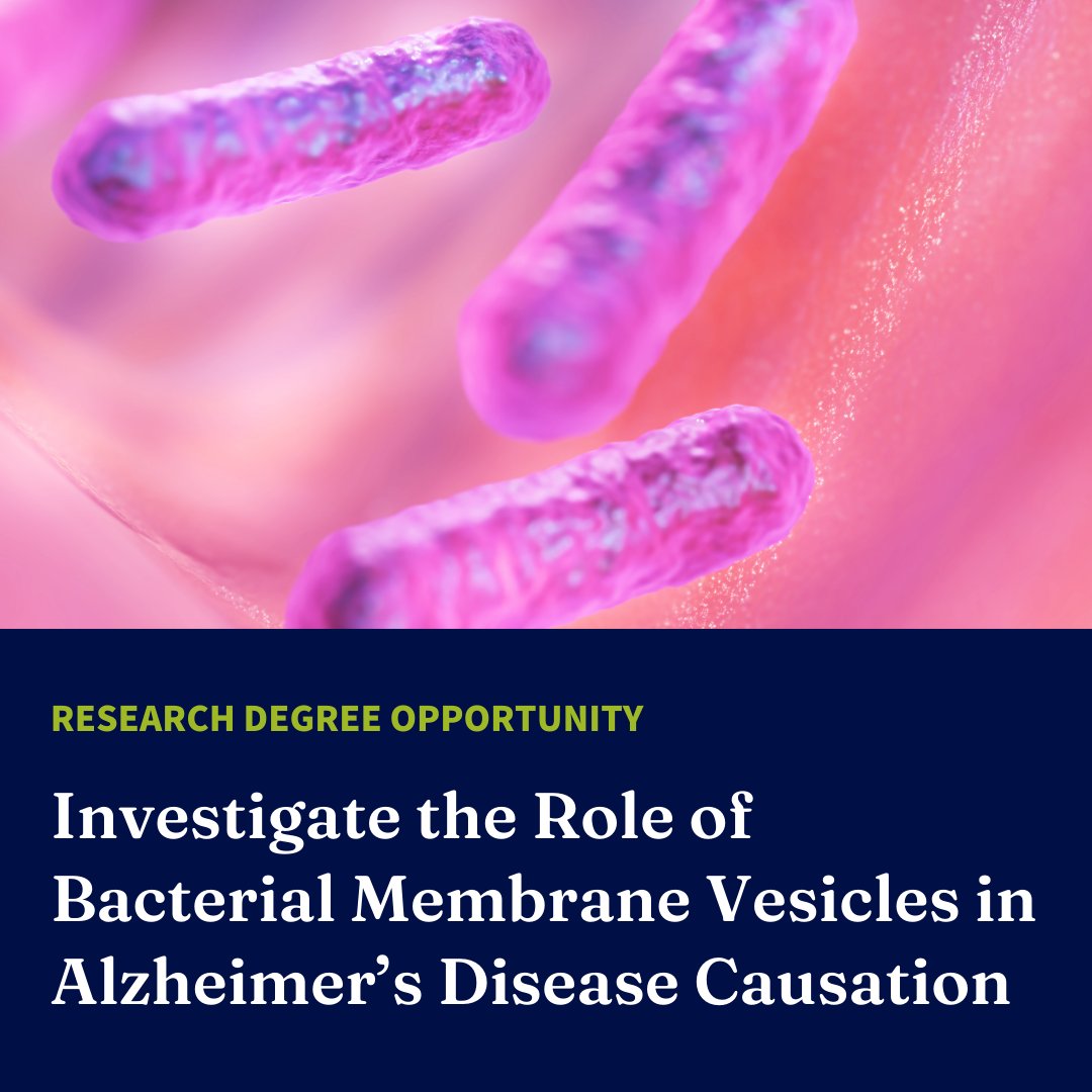 🚨 Research Degree Opportunity Alert! 🚨 We are looking for two PhD candidates to join our research team led by A/Prof Catherine Butler! This exciting project, funded by an NHMRC Ideas Grant, explores how pathogenic bacterial membrane vesicles impact neurodegenerative processes