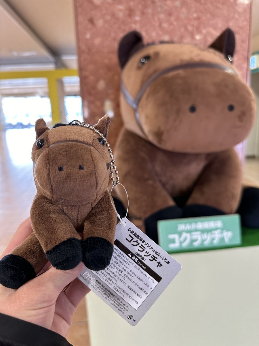 JRA小倉競馬場 on X: 