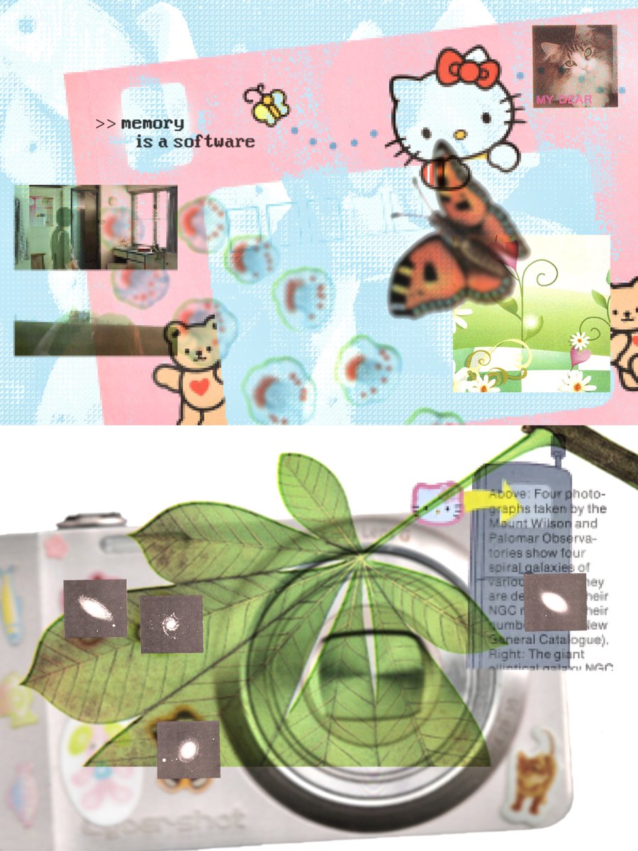 theirfieldnotes's tweet photo. collage without AI https://t.co/d91PZ3uruh