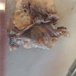 Photo by Dr Aygün Yörükoğlu (@pathologistAy)
