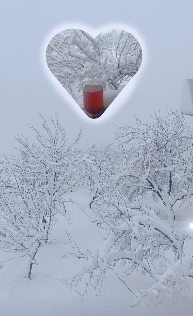 Üçdeğirmen Mahallemiz ❄