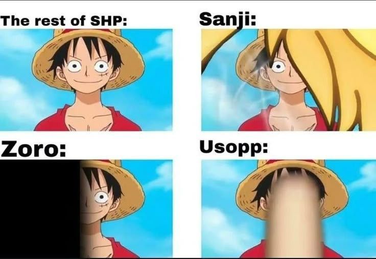 How Strawhats see Luffy