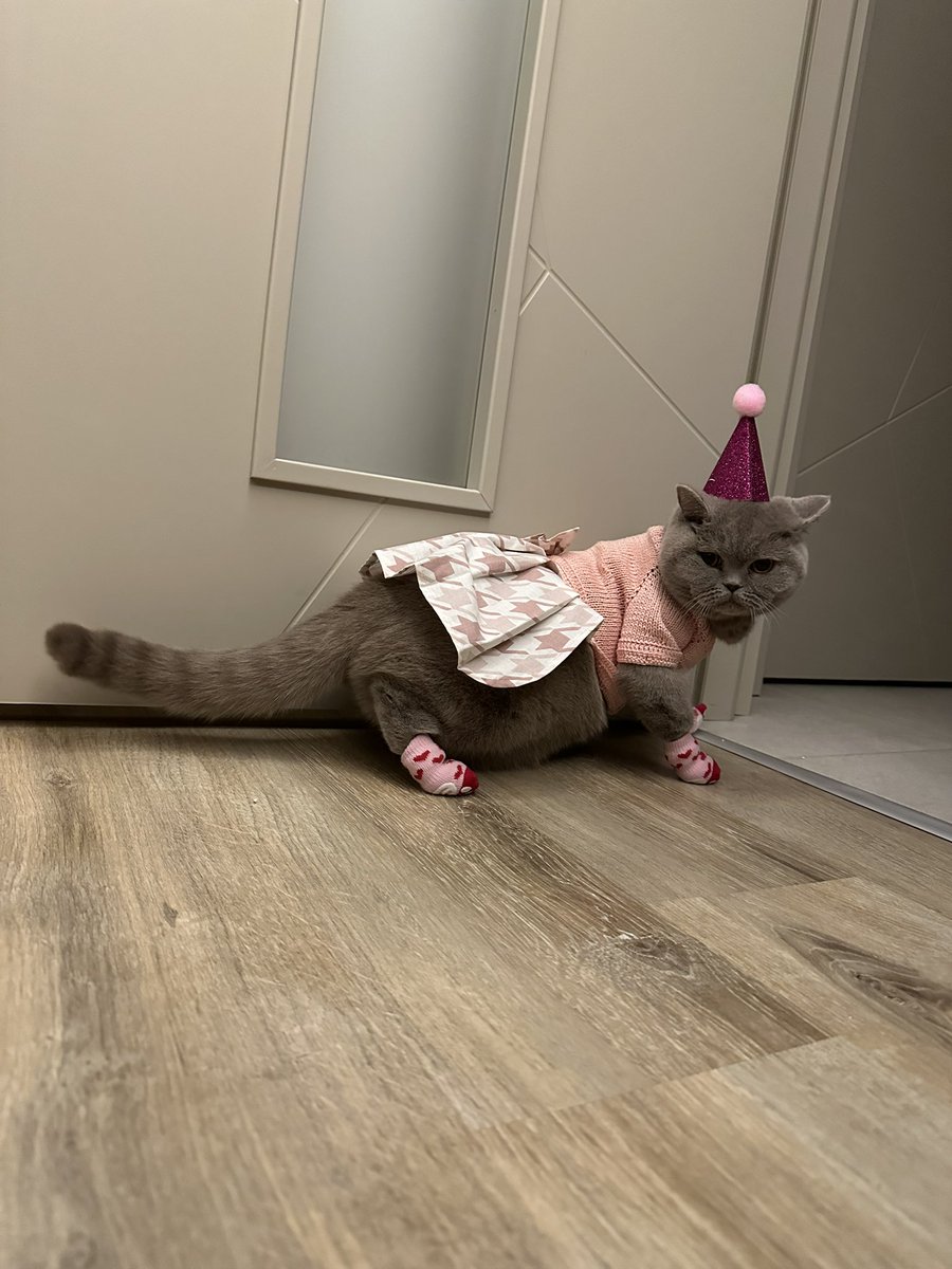 <a href="/vankedisicoin/">vankedisi</a> #enguzelbenimkedim