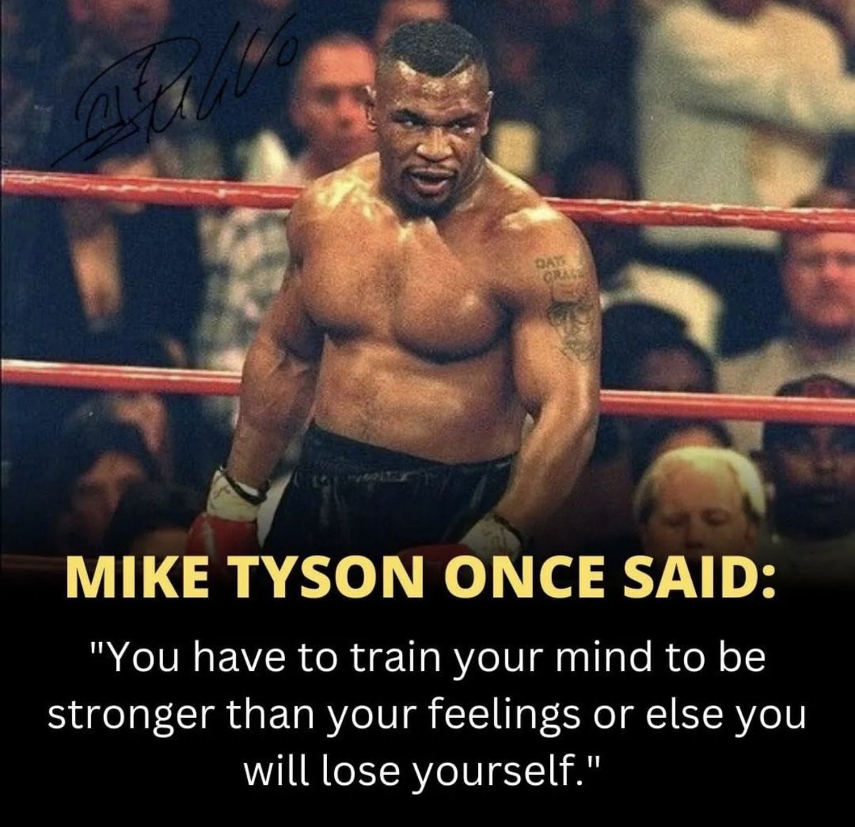 Dear son,