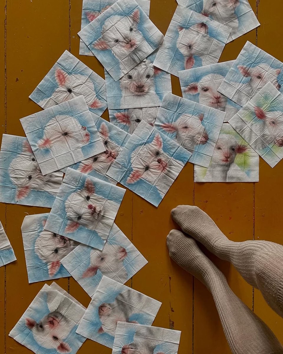 콩 무당벌레. 𝘵𝘩𝘢𝘵'𝘴 𝘮𝘺 𝘱𝘪𝘦𝘳𝘤𝘪𝘯𝘨—small but with a world of meaning, just like every little step I take. It’s not about size, it’s about the spark of individuality that makes me stand out.