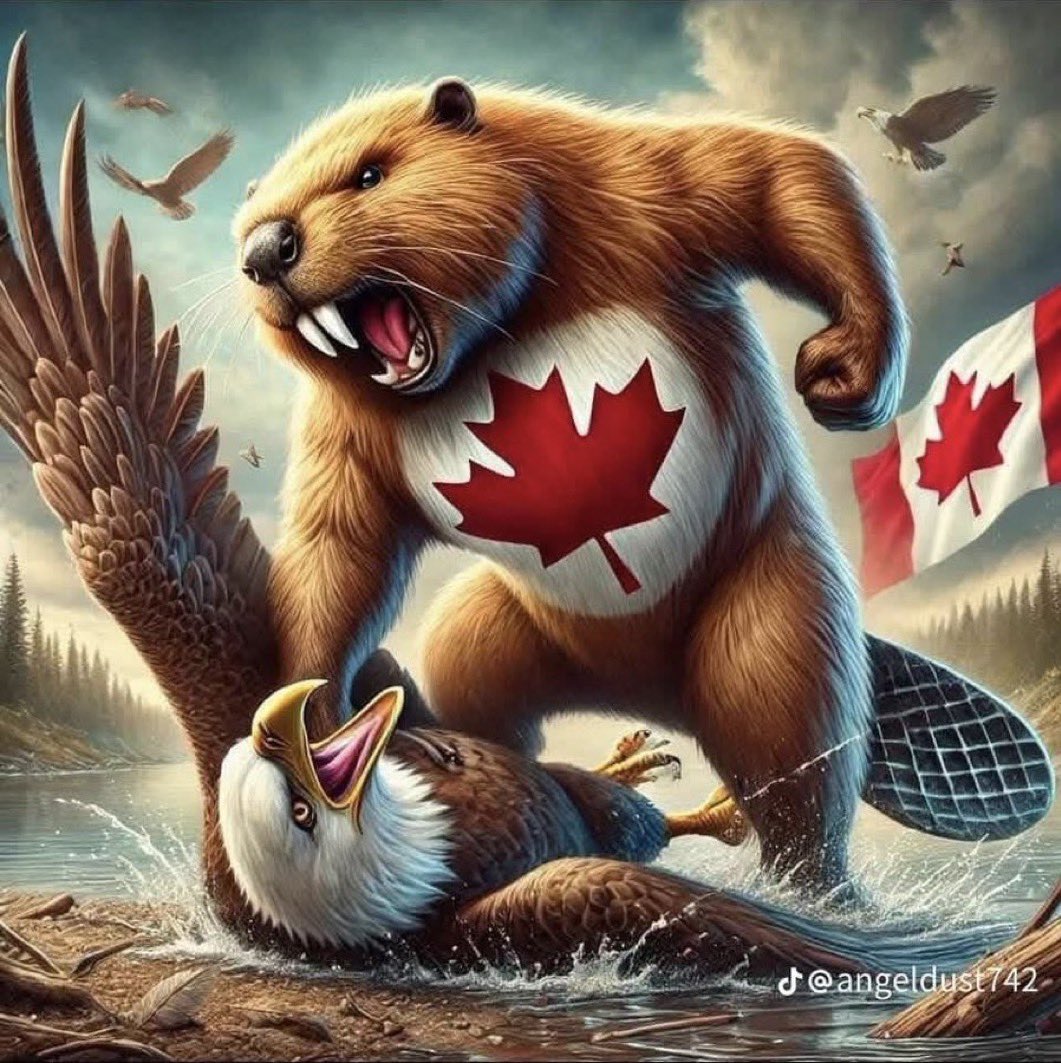 Lets_Go_Flyers's tweet image. Still our bitches!!! 🇨🇦🇨🇦🇨🇦🇨🇦🇨🇦