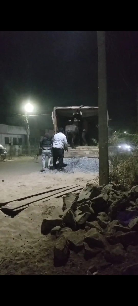 Adv .Chandni Khandelwal (@iamchandni_k) on Twitter photo "Daily vehicles in Sirohi district are transporting animals without valid documents, with police allegedly taking bribes and ignoring license checks. Urgent action is needed to stop this illegal activity! 🙏 @SP_Sirohi <a href="/CollectorSirohi/">जिला प्रशासन सिरोही</a> @amitshah <a href="/RajCMO/">CMO Rajasthan</a> <a href="/RSSorg/">RSS</a> #AnimalRights "Daily vehicles in Sirohi district are transporting animals without valid documents, with police allegedly taking bribes and ignoring license checks. Urgent action is needed to stop this illegal activity! 🙏 @SP_Sirohi <a href="/CollectorSirohi/">जिला प्रशासन सिरोही</a> @amitshah <a href="/RajCMO/">CMO Rajasthan</a> <a href="/RSSorg/">RSS</a> #AnimalRights
