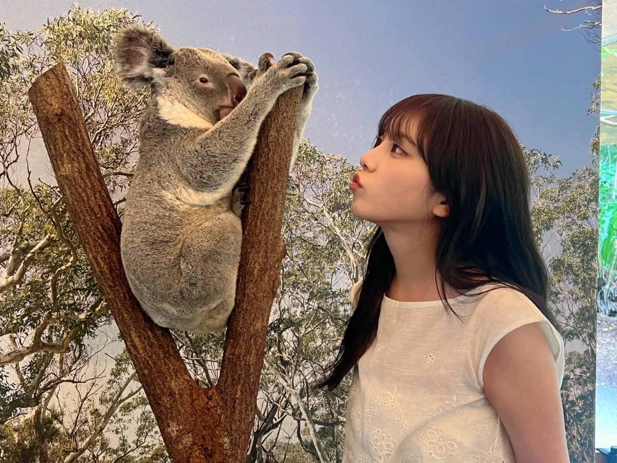 コアラとのご対面オフショットを公開🐨 いよいよ #与田祐希卒業