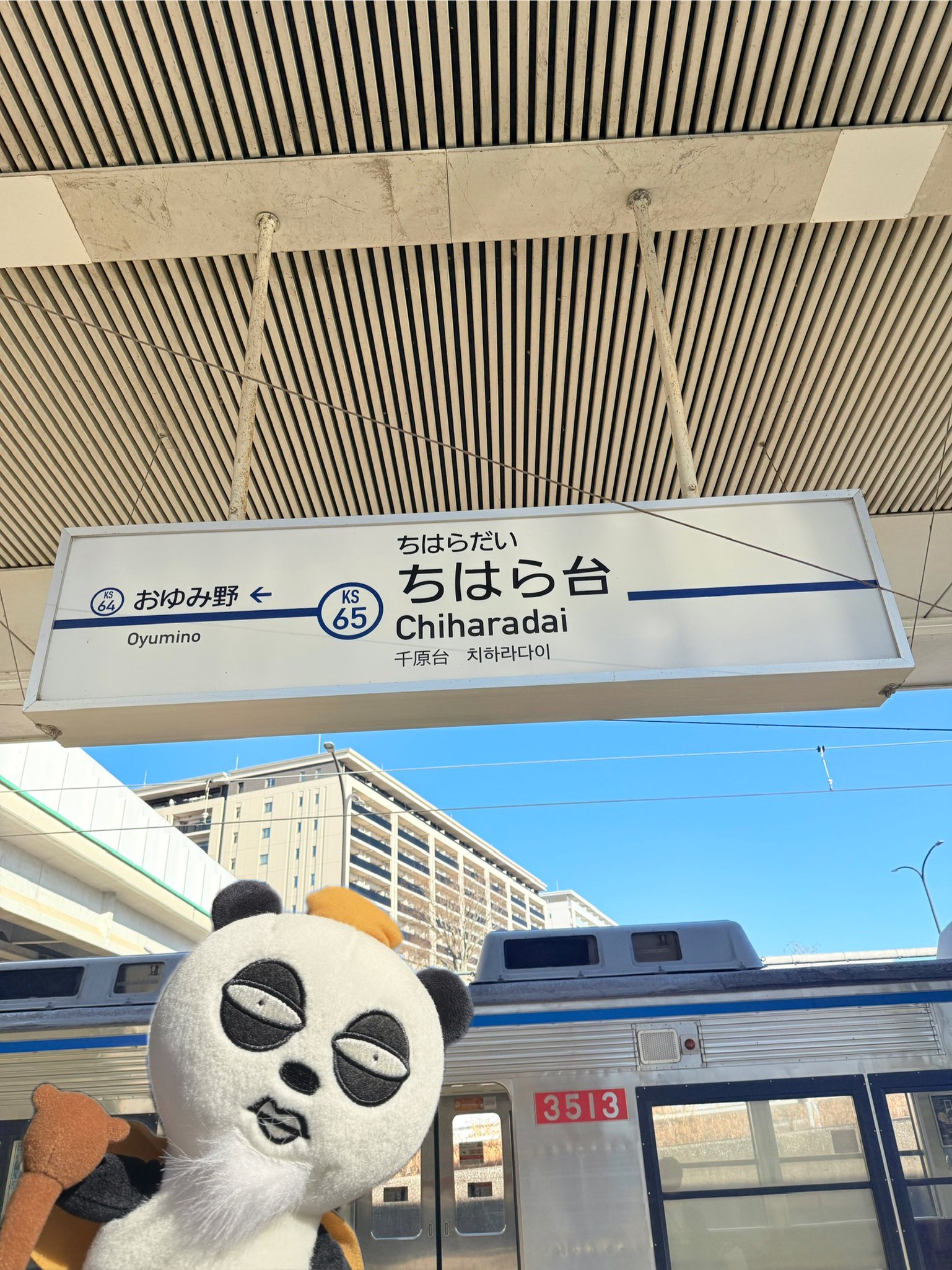 ●京成パンダ 京成パンダ｜京成カード - 乗る、買う、タマル。