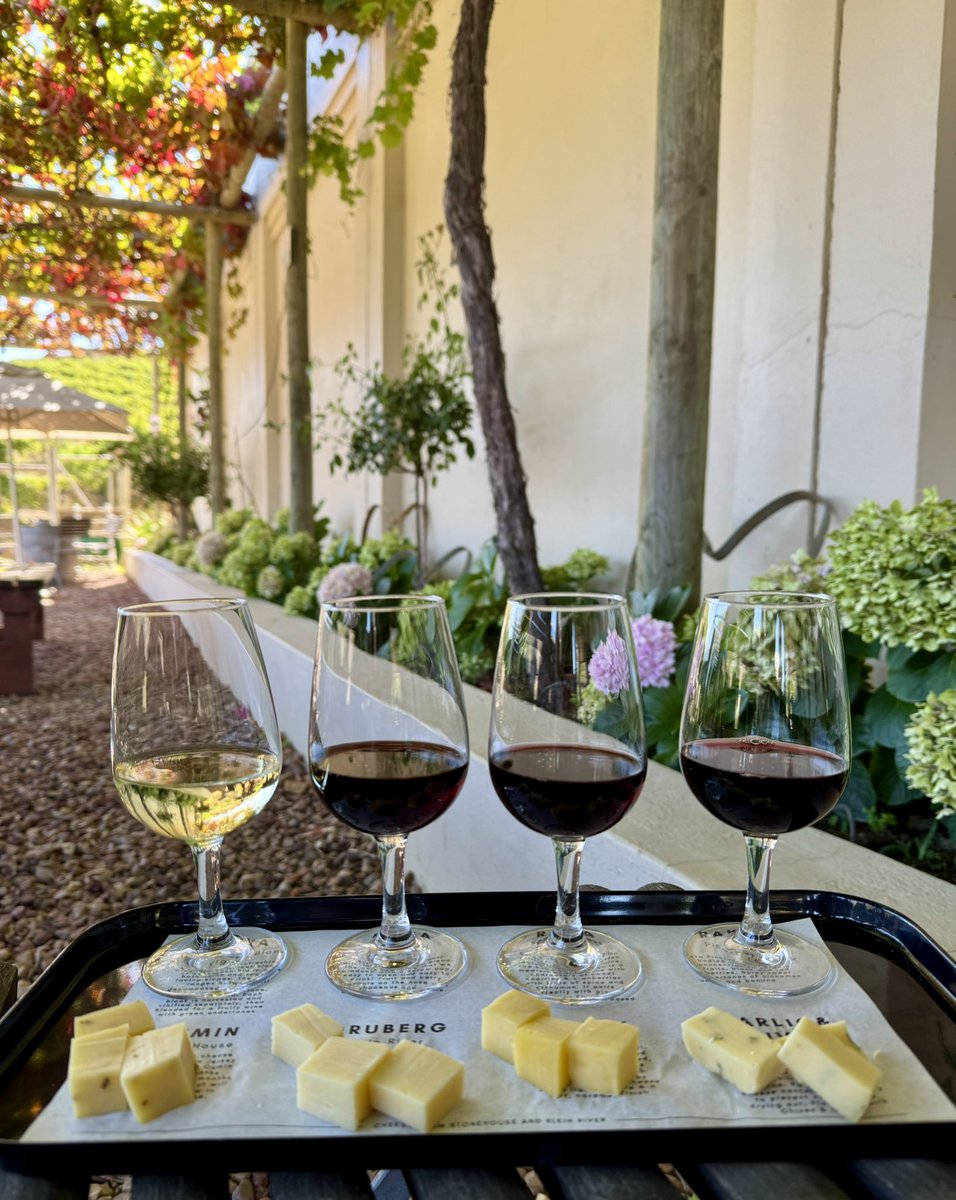 Let your weekend be filled with sunshine, cheese and wine with our very popular cheese and wine pairing 🧀🍷

#rakawine #visitstanford #winelovers #coolclimatewines #SAwine #kleinriver #Overberg
