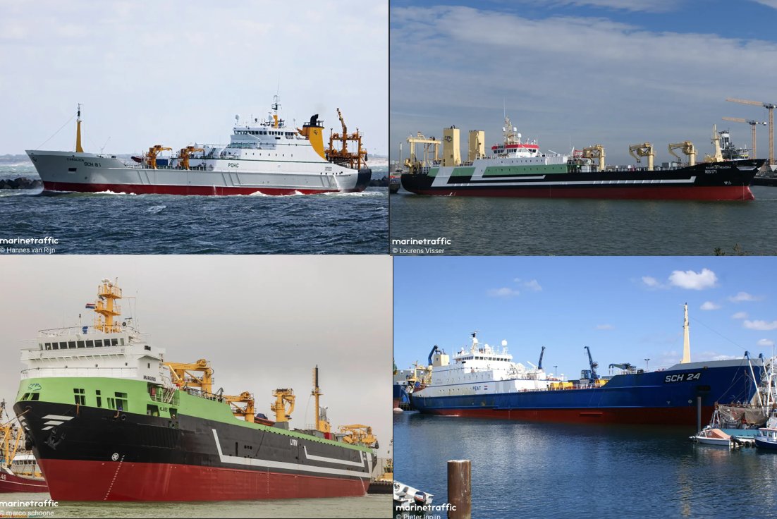 Nick's Fish tweet media