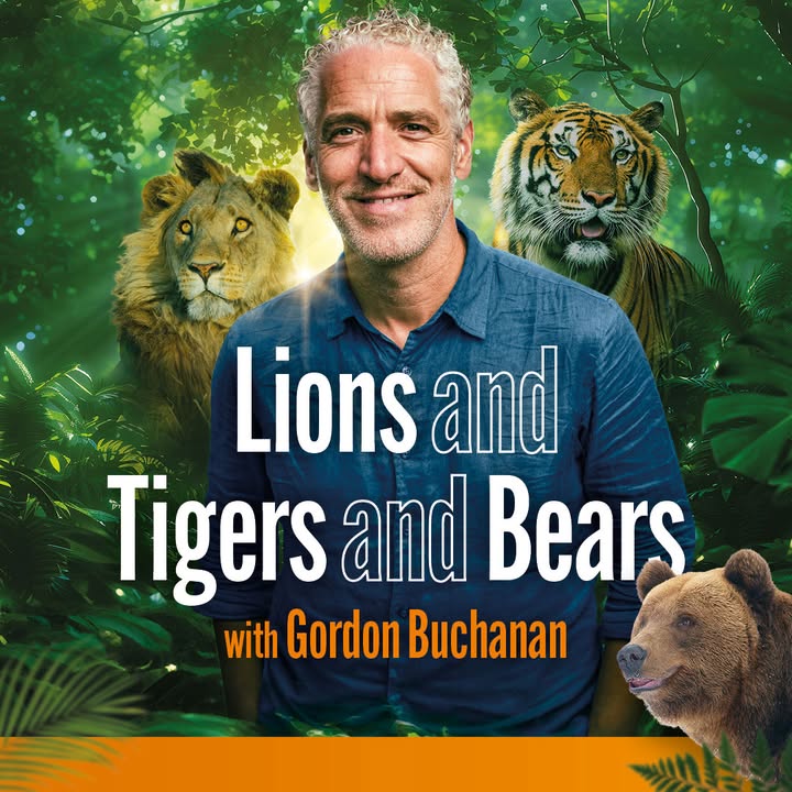 🐻 Lions and Tigers and Bears with Gordon Buchanan
📅 Friday 28 February

Join Gordon as he recounts thrilling encounters with pandas, grizzlies, tigers, jaguars and more.

Book tickets now 🎟 - ipswichtheatres.co.uk/whats-on/lions…