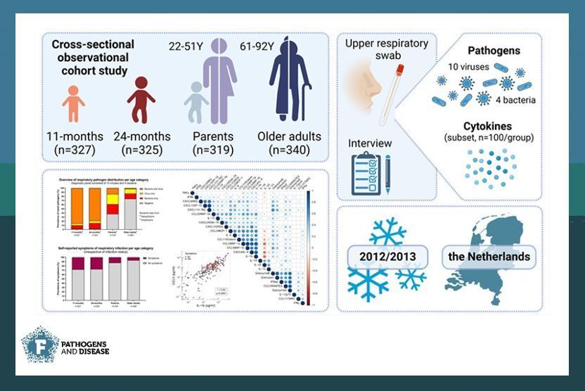 #winter season and #respiratory pathogens ☃️🦠 Researchers from <a href="/rivm/">RIVM</a> Institute explore the immune response to #virus and bacteria in the general population. Dive into the results here: buff.ly/4188rOb

#PathogDis #prevention #public #health