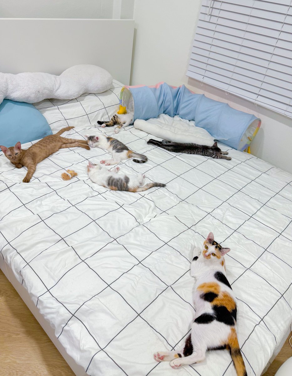 _DNVP2_'s tweet image. ตื่นมาพักผ่อนบ้างเด็กๆ