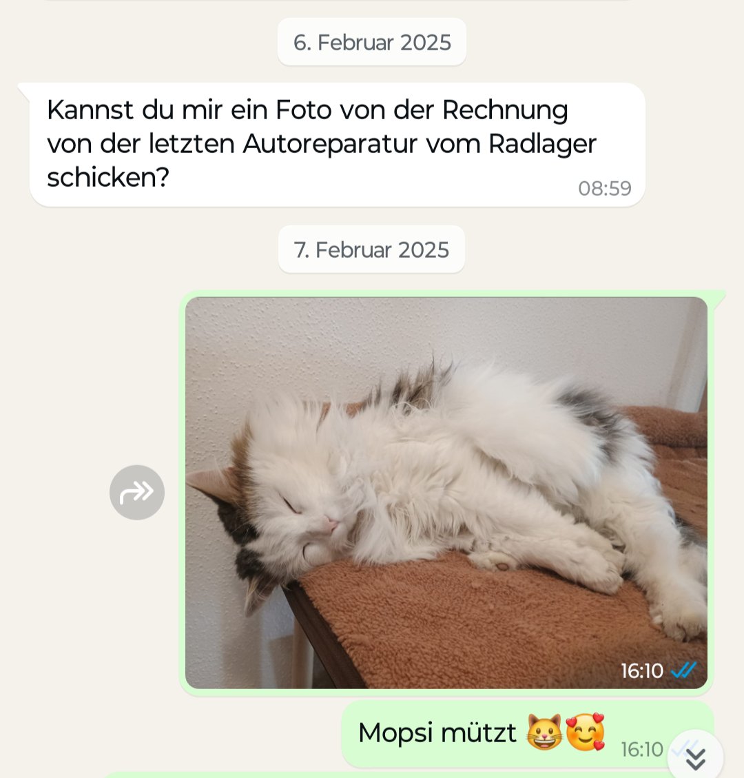 Wie man kommuniziert und gleichzeitig nicht kommuniziert...und trotzdem voll in Love ist, weil wegen KATZE