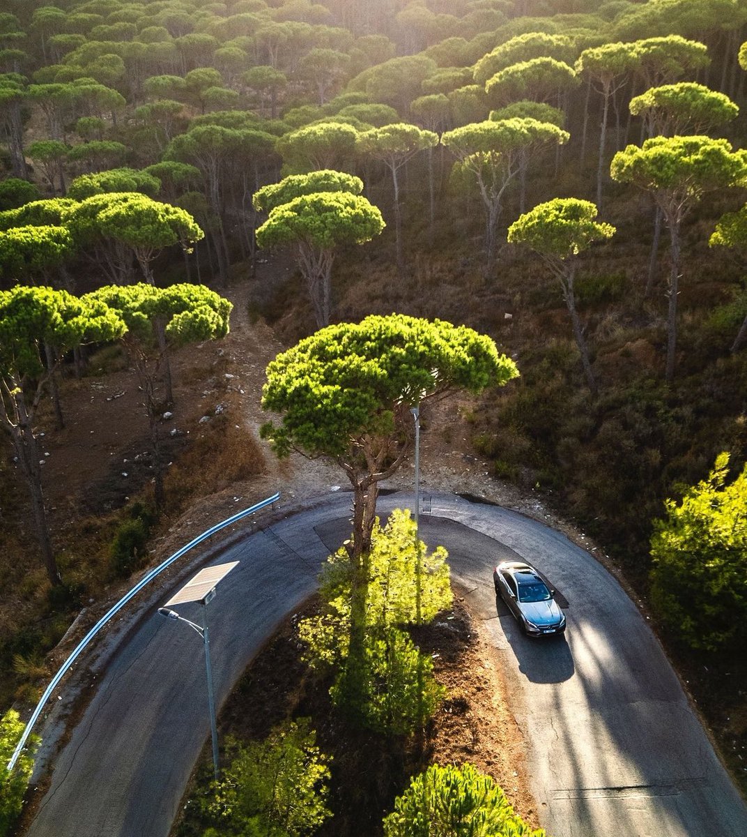 Sobalaan 🧉 tweet media